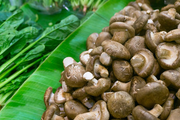 Close view of fresh and raw brown champignon mushroom's on banana leaves background with blur green vegetables. From fresh market in Bangkok.