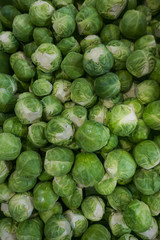 group of green cabbages in supermarket background. fresh and raw food ingredient in close up detail view