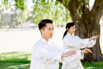 People practicing thai chi in park