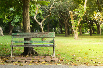 Park Bench under large trees in afternoon time in the park with falling leaves in Bangkok