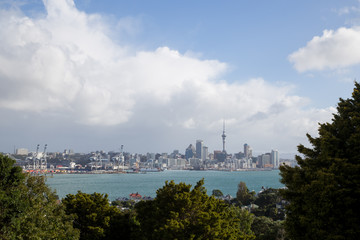 Fototapeta premium Auckland skyline seen from Devonport