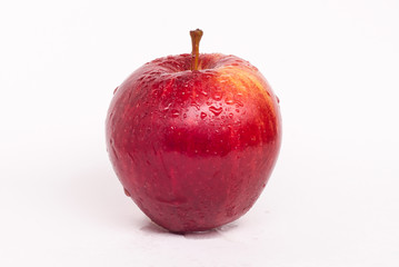 Red apple on light background