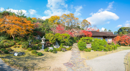 Garden  in autumn, Kyoto Japan