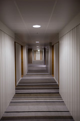 Современный дизайн интерьера коридора