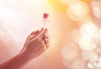 Hand holding heart stick on soft bright background, looking for love concept