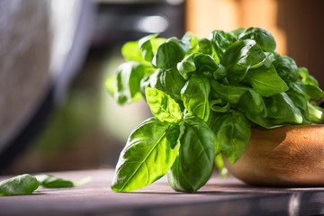 Fresh organic basil