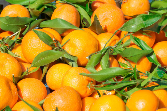 mandarins mandarin, tangerines!Very sweet and tasty citrus