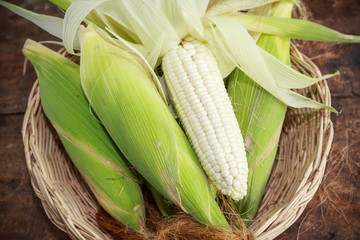 white corn on wooden background