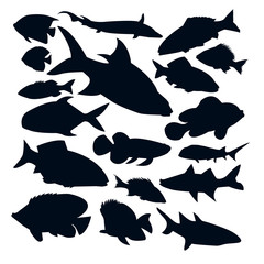 Vector fish silhouettes isolated