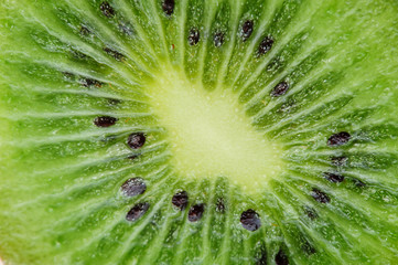 kiwi close up slice