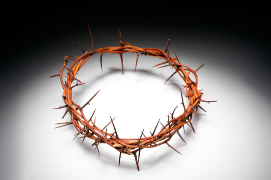 view of branches of thorns woven into a crown depicting the cruc