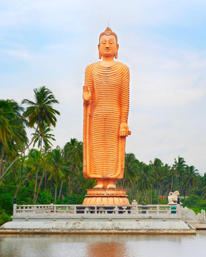 Buddha statue in Sri Lanka