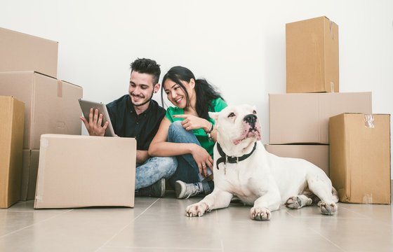 Couple moving new house and checking solutions on the internet