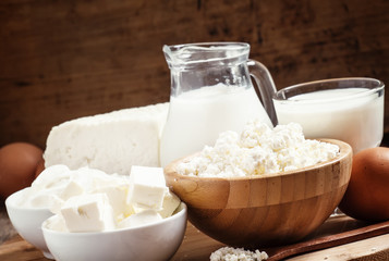 Farm organic dairy products: milk, yogurt, cream, cottage cheese