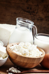 Farm organic dairy products: milk, yogurt, cream, cottage cheese