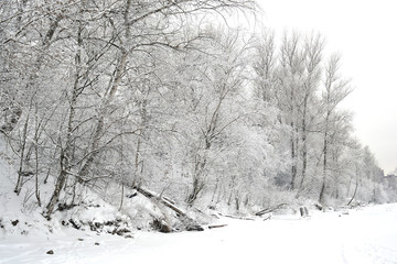 Winter landscape with snow covered trees.