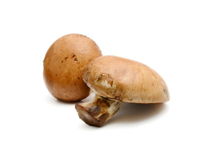 Baby bella mushroom on a white background