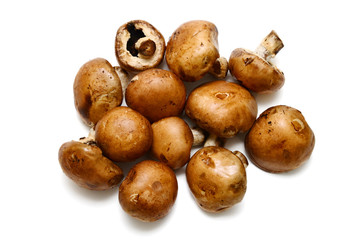 Baby bella mushroom on a white background