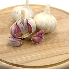 Knoblauch - Allium sativum