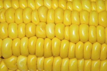 Sweet corn / Close up grain of sweet corn.