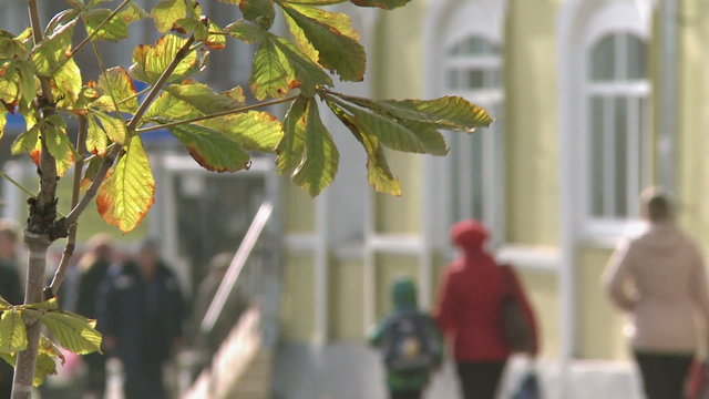 A crowd of people are walking around town,in refocuse.Slow motion.