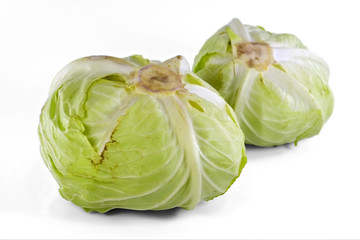 Fototapeta premium Green cabbage / Green cabbage isolated on white background.