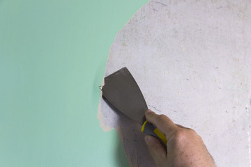 DIY man wallpaper stripping. Using a stripping tool to remove old wallpaper from an old domestic interior wall. 
