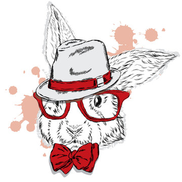Rabbit - hipster . The rabbit in the hat . Rabbit clothing . Vector animal. Otrytka rabbit . Hipster. Fashion & Style. Print . 