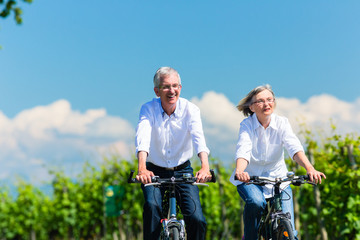 Senioren Frau und Mann fahren Fahrrad im Sommer im Weinberg