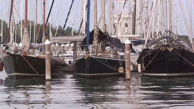 Static shot of the bow of some sailboats docked in the marina bobbing on gentile waves.