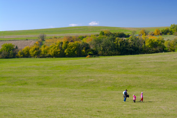 View of Pasture