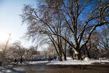 Mirabellpark Salzburg im Winter