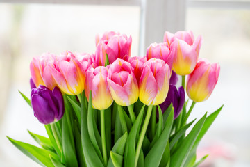 Beautiful pink and purple tulips. A bouquet of flowers for March 8, or Valentine's day