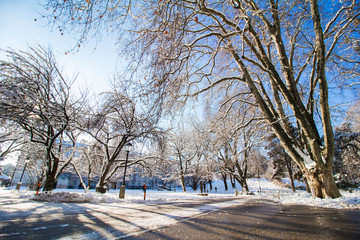 Mirabellpark Salzburg im Winter