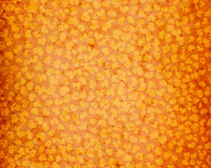 valentines day background