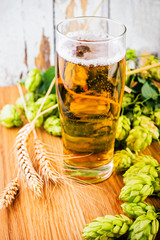 Beer, Barley and hop cones on  rustic wooden background. Fresh  green hops with beer on wooden table.  Beer brewing ingredients