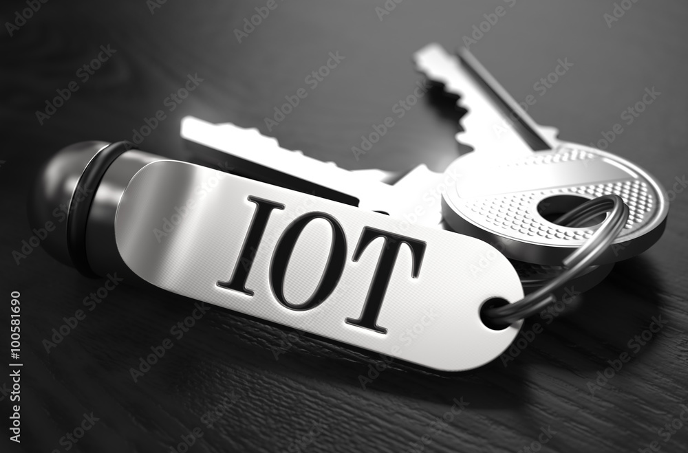 Poster iot concept. keys with keyring.