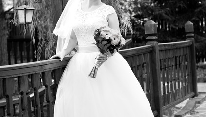 bride and wedding dress