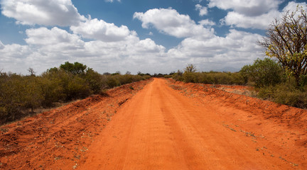 Fototapeta na wymiar The road in the Tsavo East National Park