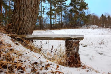 interesting bench at trees on a winter glade