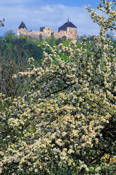 Tocnik castle 04/ Spring view to Tocnik castle - Czech republic