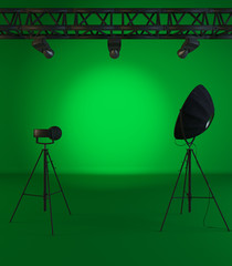 vintage green scene under tree spotlight