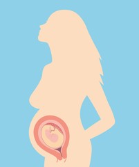 Illustration of a silhouette of a pregnant woman with an embryo