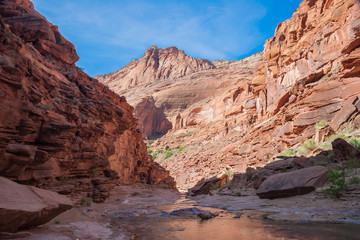 Fototapeta premium AZ-UT-Paria Canyon-Vermillion Cliffs Wilderness. The Paria Canyon multi-day backpack is a spectacular trip down this remote slot canyon, with hundreds of stream crossings.