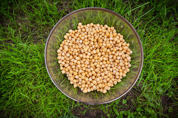 Raw chik-peas beans
