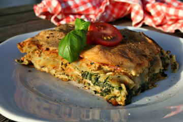 organisch lifestyle gesunde ernährung bio-lasagne wildkräuter basilikum vegan