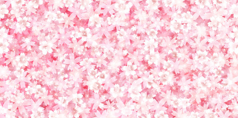Obrazy na Plexi  Sakura wiosna kwiat tło