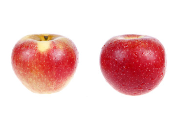 The red apple, close-up