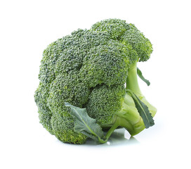 Broccoli on white background