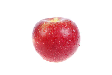 The red apple, close-up